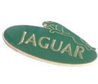 JAGUAR LEAPER OVAL GREEN PIN