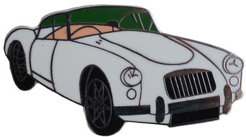 Lapel Pin