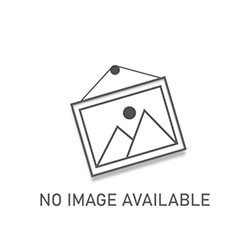 NURBURGRING LAPEL PIN